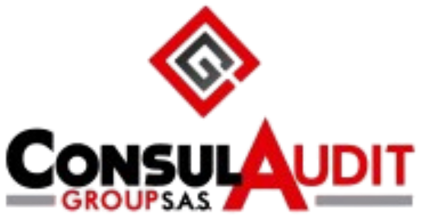 ConsulAudit Group